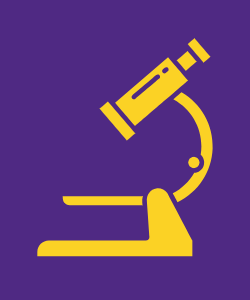Available Research Infrastructure